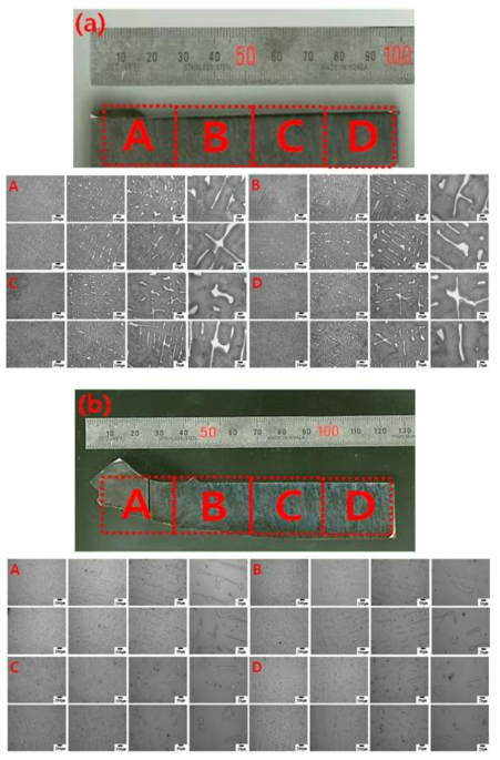 (a) LR 2 합금과 LR (4) 합금의 부위별 미세조직(x50 ~ 500)