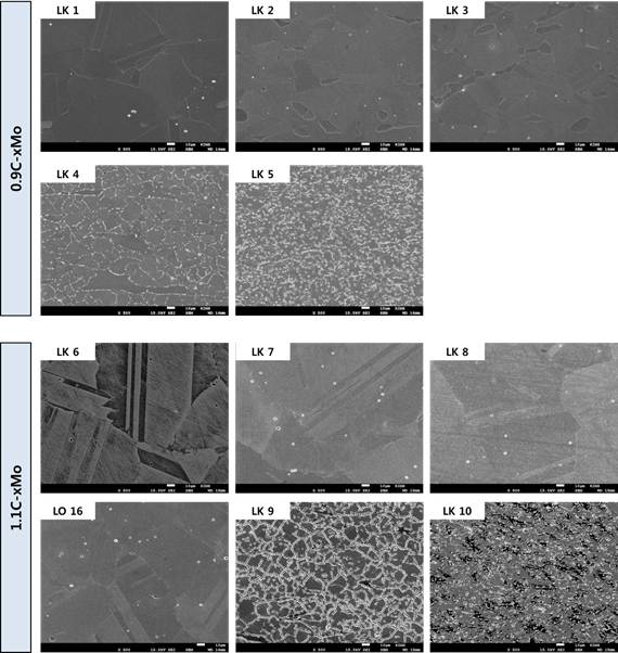 LK 1-10, LO 16의 균질화 열처리 후 미세조직