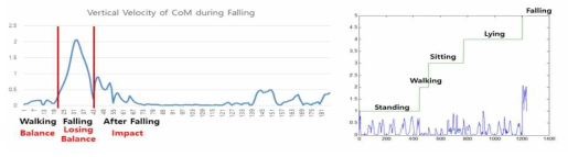 낙상 중 인체 무게중심의 수직 속도의 변화와 State 정의(좌), 동작 별 인체 무게중심의 수직 속도의 변화(우)