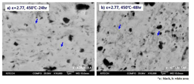 압축 변형량 ε=2.77 소재의 450℃에서 열처리 시간 변화에 따른 미세조직; (a) 450℃-24시간, (b) 450℃-48시간