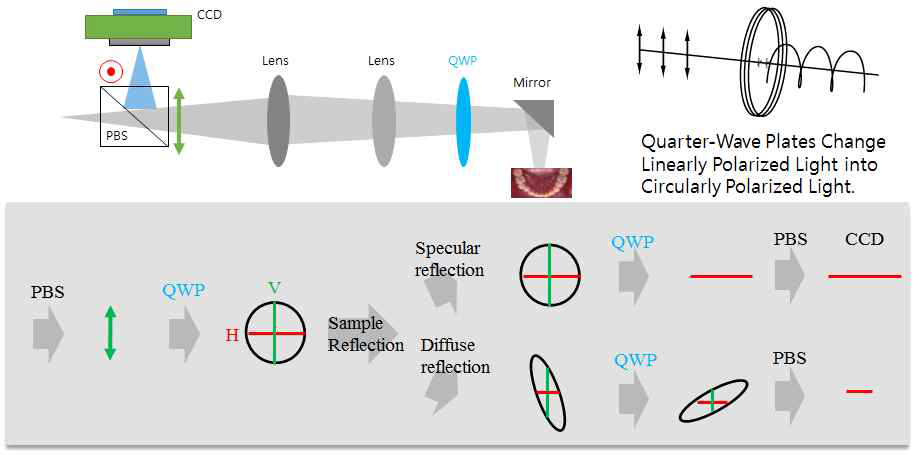 원형편광 광학계의 구성과 편광변화 이해도