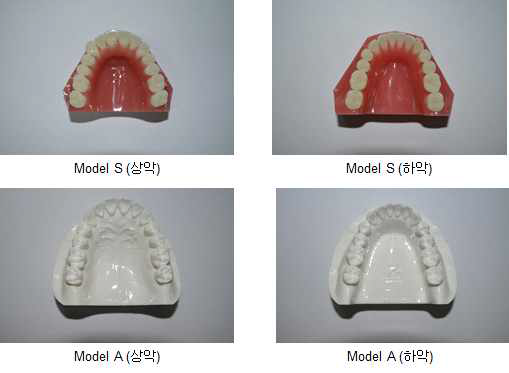 컬러(색상)에 따른 상·하악 전악 환자 재현모델