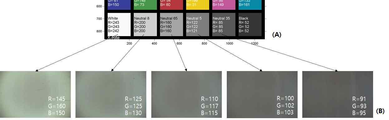 원 색상(A)과 패턴 제거 영상(B). B에 표시된 수는 평균 RGB값을 나타냄