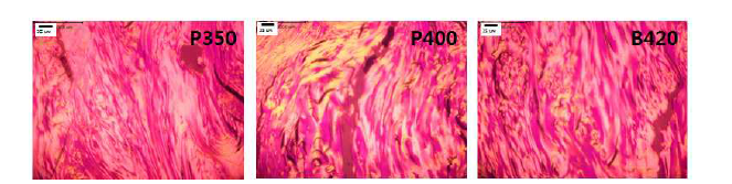 침상코크스의 편광현미경 이미지 (x40)