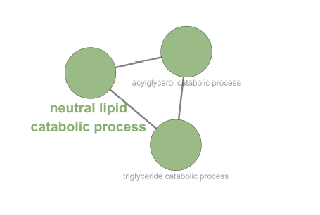 비정상검체에서 검출된 단백질들의 연관 biological process
