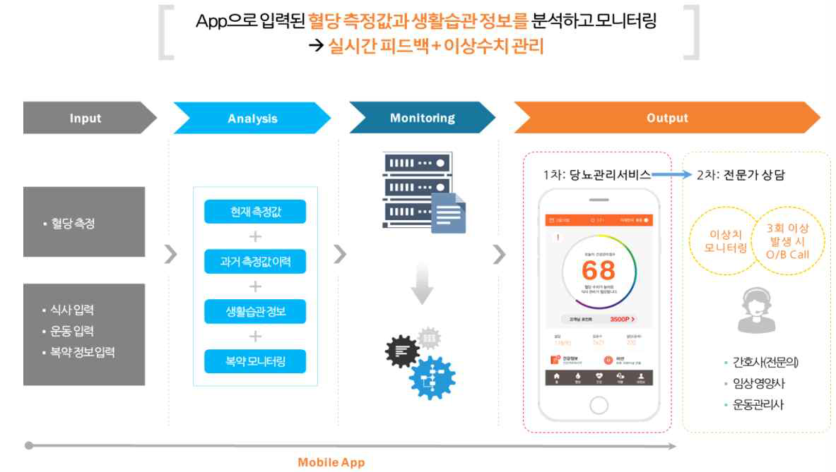 당뇨관리 상용화 서비스 운영 프로스세스