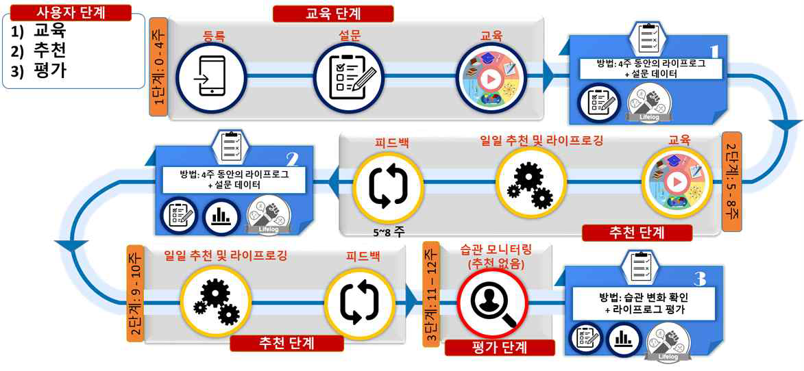 12주 당뇨관리 서비스 프로그램 프로세스