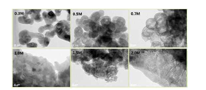 TEM으로 관찰한 출발물질 농도별 1차 입자 형상