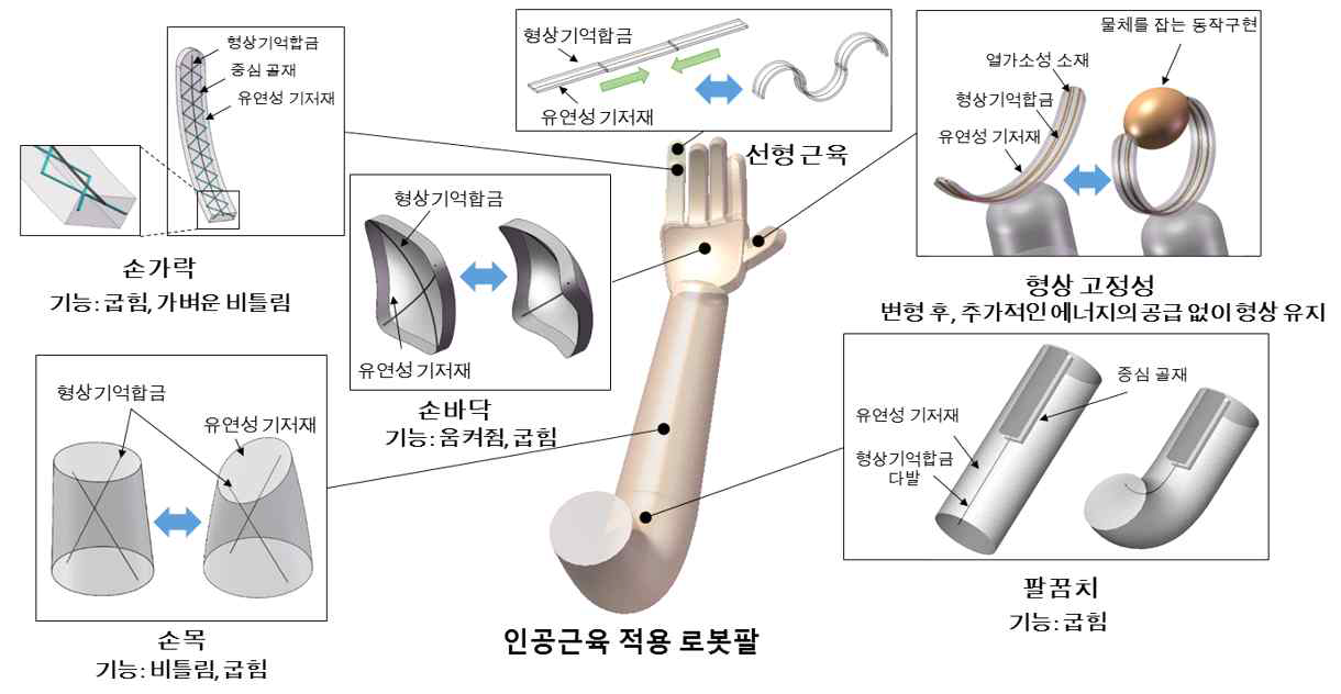 지능형 연성 복합재 기반 인체 손 및 팔 모사 로봇 개발 개념도