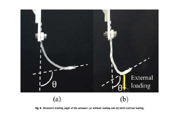 손가락 동작 모사가 가능한 구동기 굽힘 변형 모습 (a) 하중 없을 때, (b) 하중 있을 때