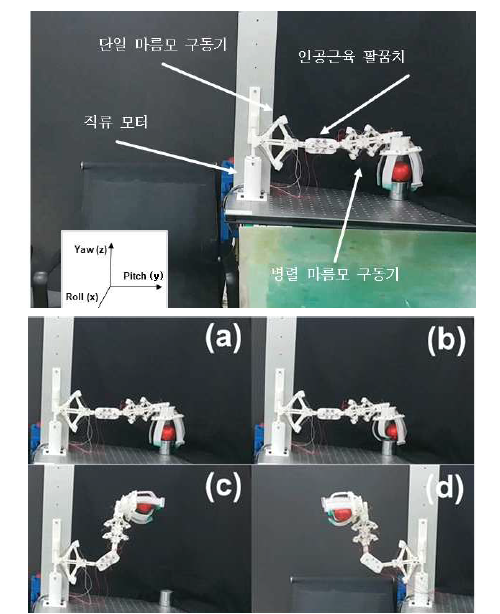 인공근육 팔꿈치 모사 로봇의 물체 옮기기 실험
