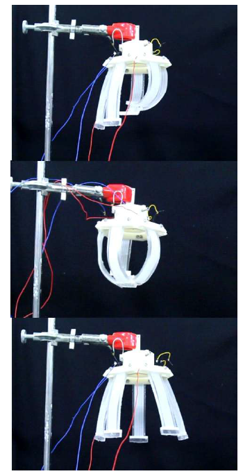 인공근육 팔꿈치 모사 로봇의 동작 자유도 실험 (순서대로 가위바위보)