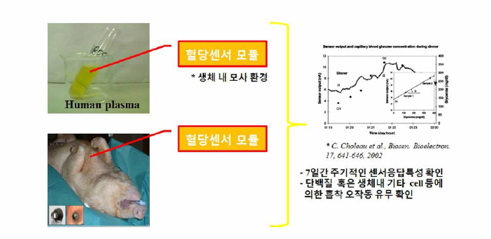 주기적인 센서응답특성 확인을 통한 생체 적합성 및 지속성 평가