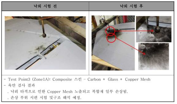 Test Point Zone 1A (Composite 스킨, Copper Mesh Zone)