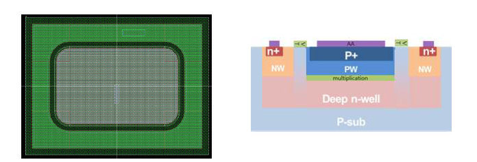 SPAD Pixel의 layout과 그 단면도