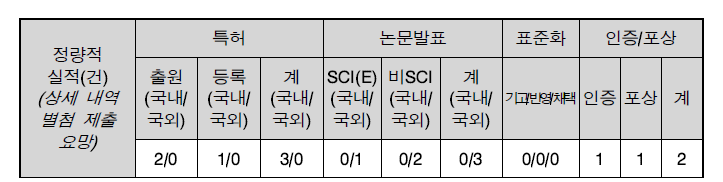 1차년도 정량적 실적