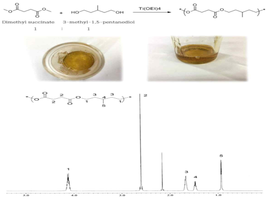 3-methyl-1,5-pentanediol과 dimethyl succinate의 에스터 결합으로 합성한 수평균 분자량(Mn)이 약 5000인 중합체