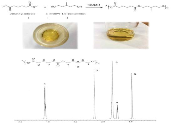 3-methyl-1,5-pentanediol과 dimethyl adipate의 에스터 결합으로 합성한 수평균 분자량이 약 5000인 중합체