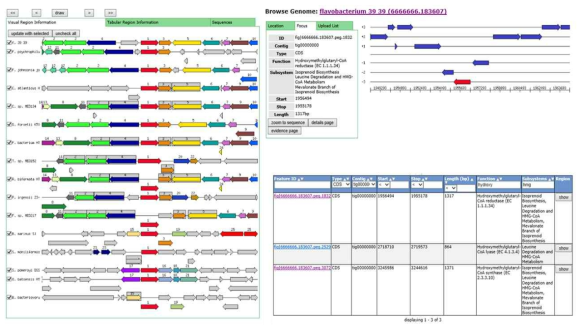 Flavobacterium WV39의 염기서열 분석을 바탕으로 메발론산 합성 유전자 mvaS 정보 확보