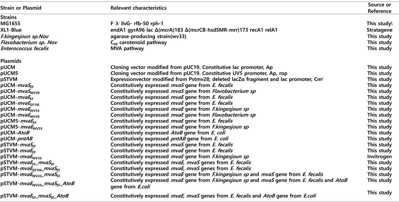 본 연구에서 사용된 미생물 유전자 플라스미드 리스트