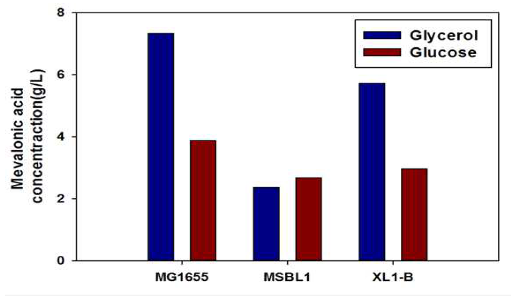 탄소원에 따른 메발론산 생산능 비교