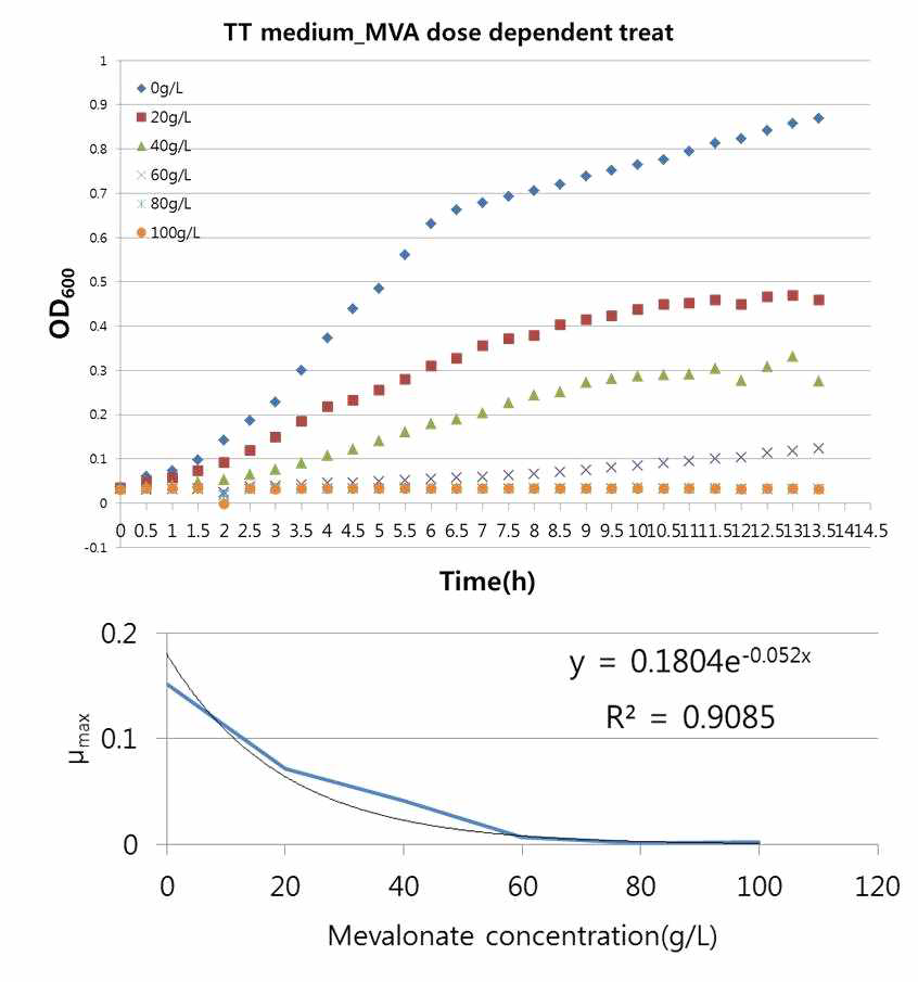 합성배지(TT 배지)에서 메발론산이 세포 성장에 미치는 영향