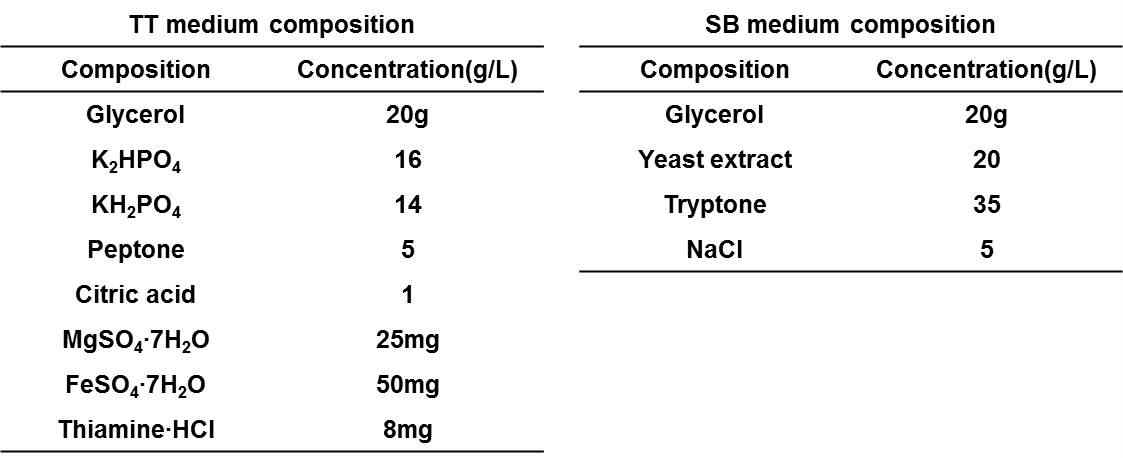합성배지(TT 배지), 복합배지(SB 배지) 조성