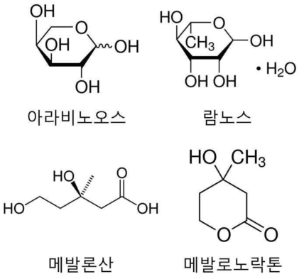 메발론산과 아라비노오스 람노스의 구조 비교