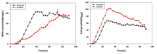 pdhR 유전자가 제거된 균주를 이용한 메발론산 대사회로가 구축된 플라스미드의 유무에 따른 유가식 배양