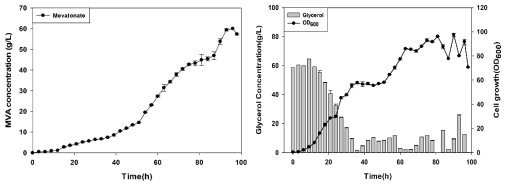 pdhR 유전자에 mvaS 유전자가 추가 삽입된 균주를 이용한 유가식 배양