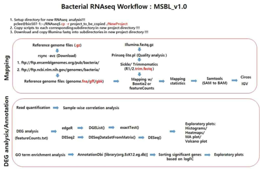 RNA-seq 결과 분석시 활용한 pipeline