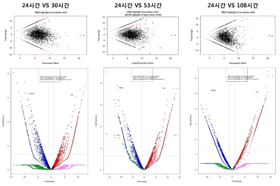 시간대별 전사체 발현의 변화를 확인하기 위한 MA plot 확인