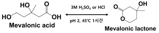 메발론산의 메발론락톤으로 전환 조건