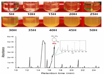시간별 배양배지로부터 메발론산 회수를 위한 추출 및 가스 크로마토그래피 분석