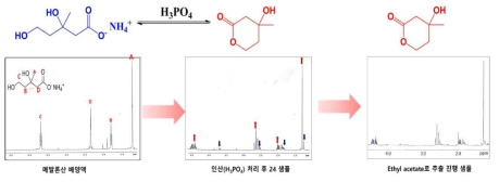 핵자기공명(Nuclear Magnetic Resonance, NMR)을 통한 메발론산 및 메발론락톤 분석