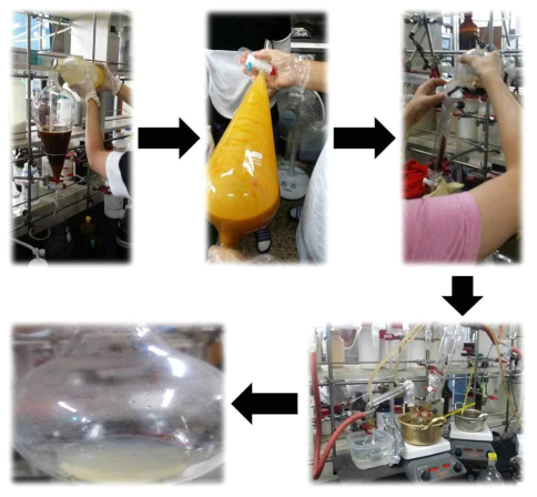 메발론산 배양액의 부피를 증가시킨 후 메발론락톤으로의 분리 및 정제 과정