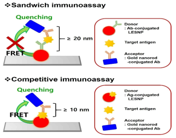 Sandwich immunoassay와 competition immunoassay에서의 FRET 신호 양상의 비교 모식도