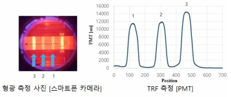 LFA 스트립 시료를 스마트폰 카메라로 일반형광측정으로 측정한 이미지 (a)와 TRF 광학계로 측정한 결과의 비교 (b)