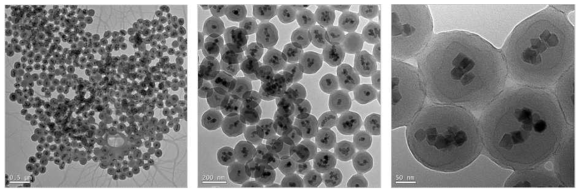 A사 자성-형광나노입자의 투과전자현미경 검사결과