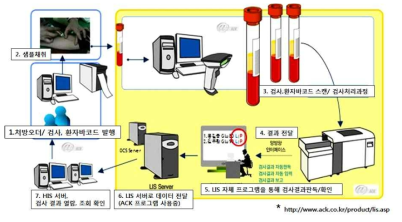 혈당측정기 LIS 연계 시스템 및 병원 진단검사 흐름 분석