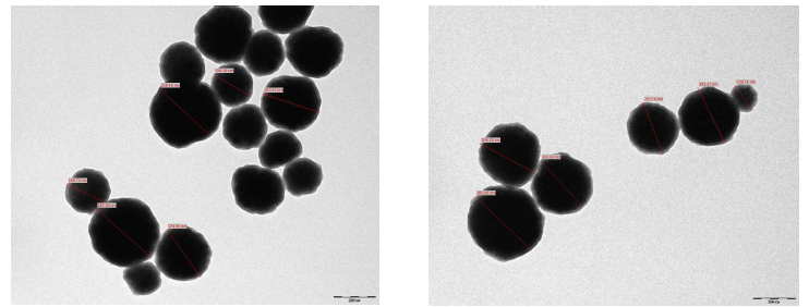 Eu-자성나노입자의 투과전자현미경 이미지(스케일: 100nm)