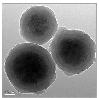Eu-자성나노입자의 고배율 투과전자현미경 이미지(스케일 50nm)