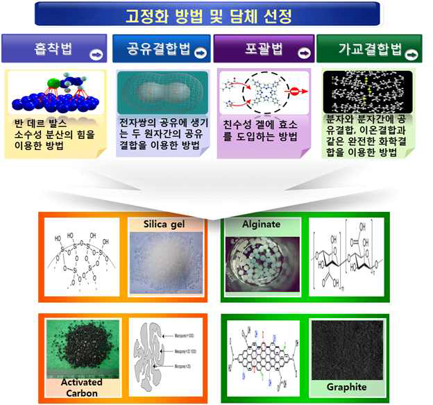 효소 고정화 방법 및 담체 선정