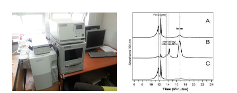 재조합균주로부터 생산된 단량체 Heme의 HPLC 분석