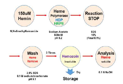 Heme 중합효소 활성 분석 Method 모식도