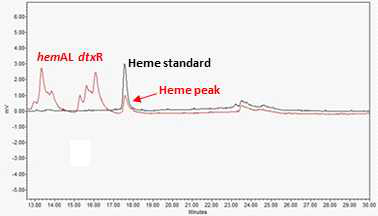 (우). HemA, L, DtxR 발현 재조합 균주 대사산물의 HPLC 데이터