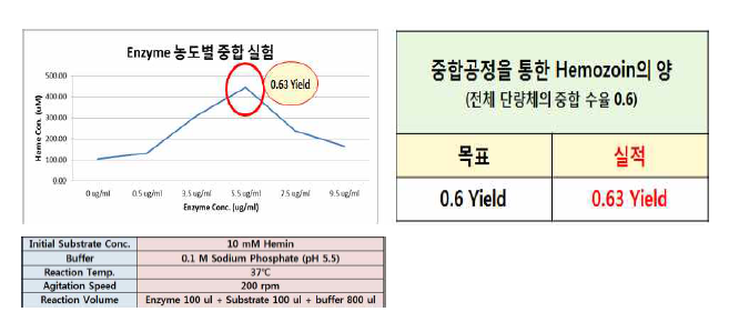 Hemozoin의 증가를 위한 단백질 농도별 중합반응 조건 및 수율 결과