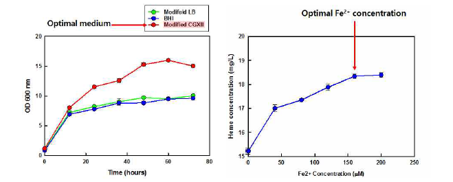 대사재설계 균주용 배지 최적화 및 Heme 생산용 철 이온 농도 최적화
