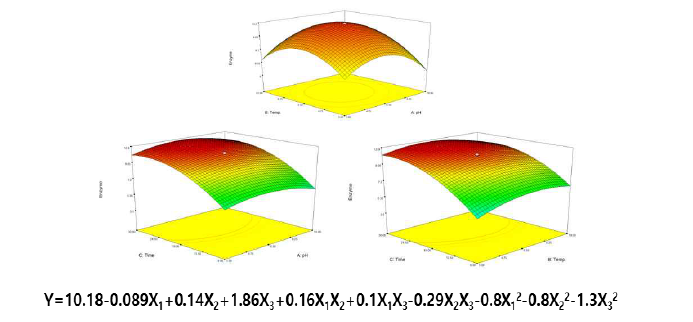 최적화된 반응표면의 3차원 그래프 및 수식