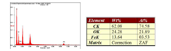 Energy Dispersive Spectroscopy을 통한 Hemozoin의 물성 분석